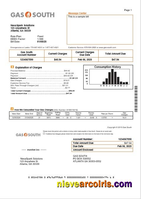 USA New York Gas South business utility bill